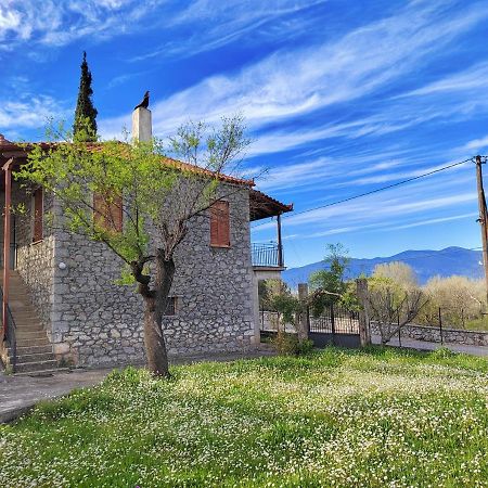 1935 Home Lílaia Dış mekan fotoğraf