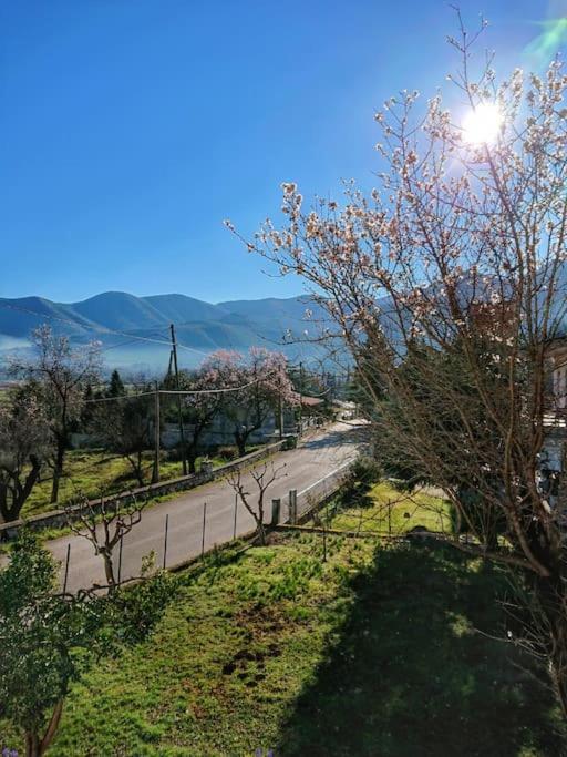 1935 Home Lílaia Dış mekan fotoğraf