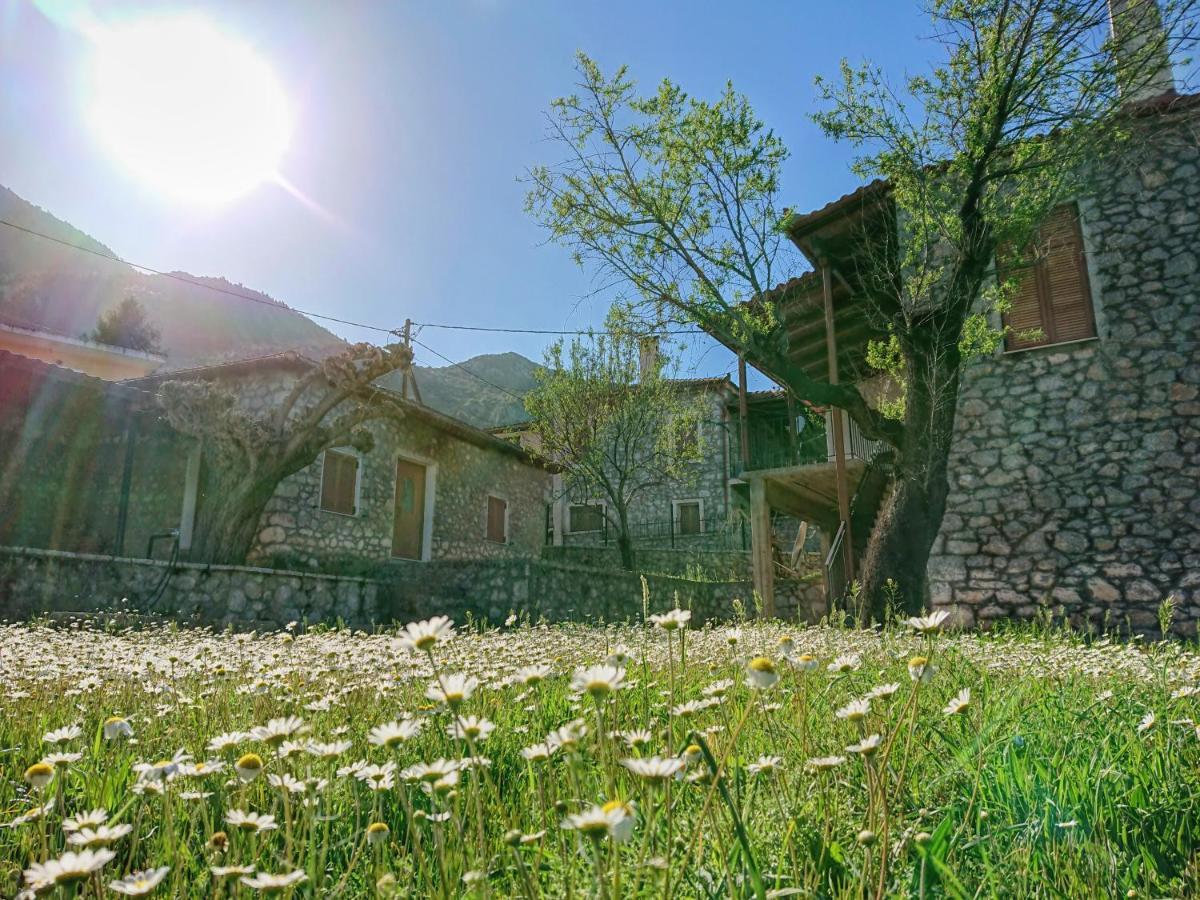 1935 Home Lílaia Dış mekan fotoğraf