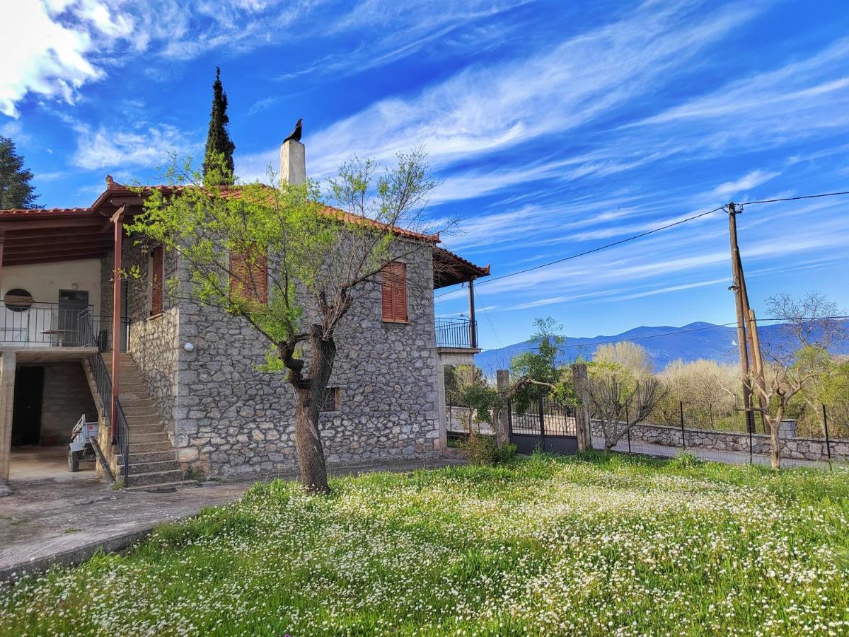 1935 Home Lílaia Dış mekan fotoğraf